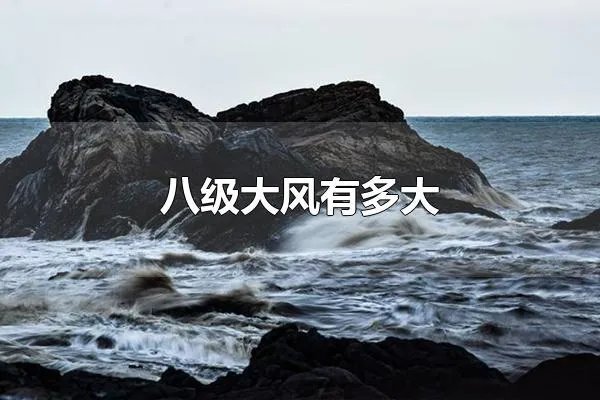八级大风有多大 八级大风可以外出吗