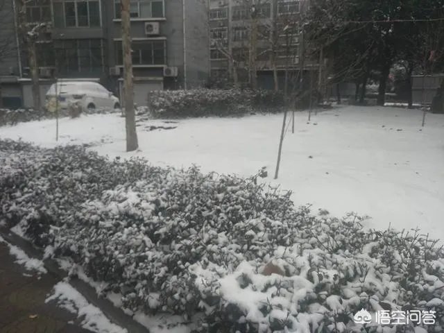 有哪些堆的雪人图片分享？