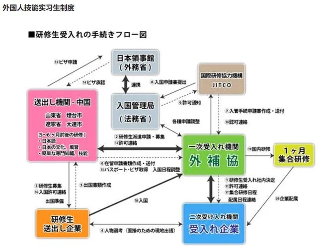什么是研修生？
