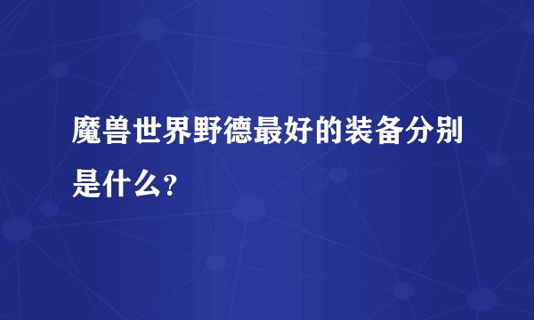 魔兽世界野德最好的装备分别是什么？