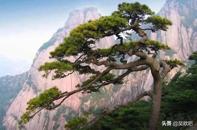 就黄山景区游客爆满，你怎么看？