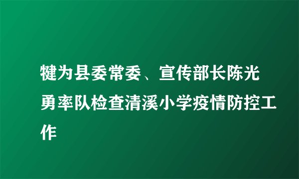 犍为县委常委、宣传部长陈光勇率队检查清溪小学疫情防控工作