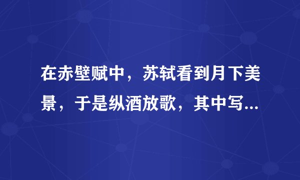 在赤壁赋中，苏轼看到月下美景，于是纵酒放歌，其中写船桨之美和于月下划船的惬意的句子是？
