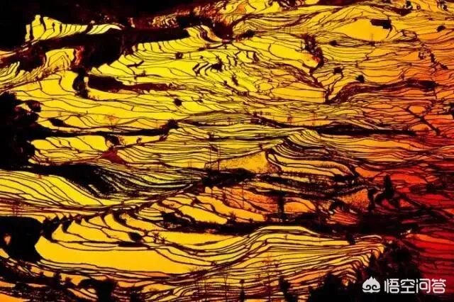 云南哈尼梯田的特点