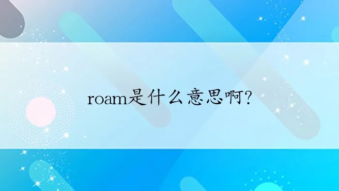 roam是什么意思啊？
