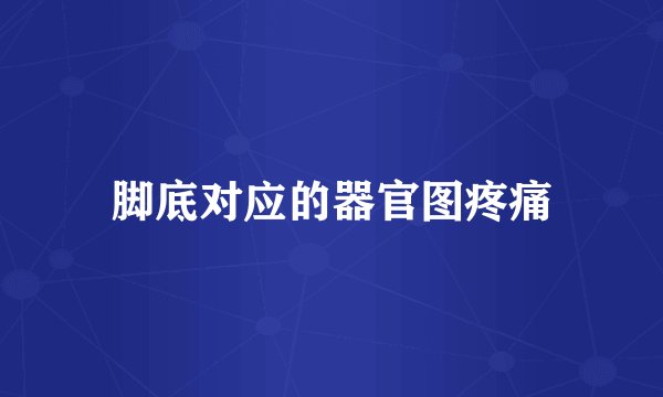 脚底对应的器官图疼痛