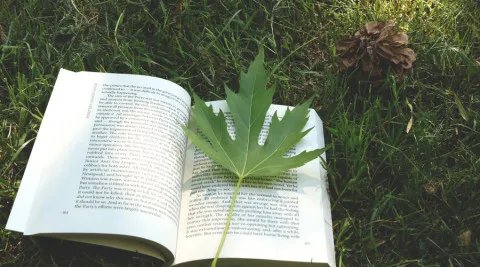 专利侵权行为包括哪些