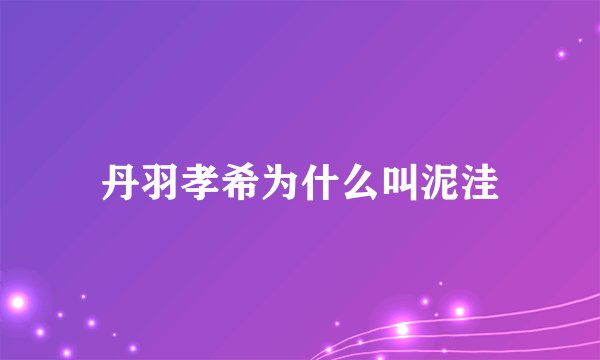 丹羽孝希为什么叫泥洼