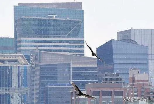 美国被实锤！美疫情提前至12月，死者根本没来过中国，对此你怎么看？