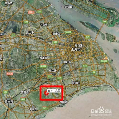 假期旅游之上海金山廊下生态园