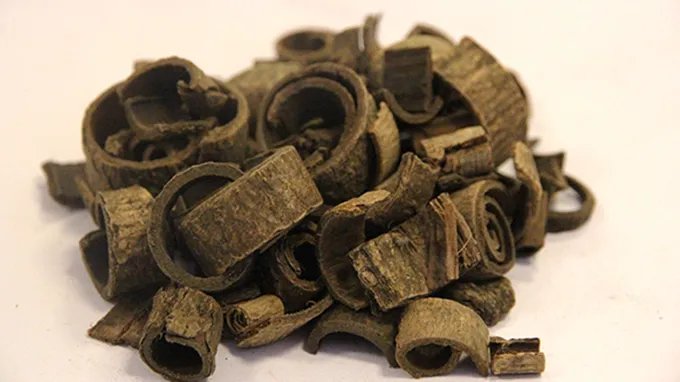 厚朴的作用与功效