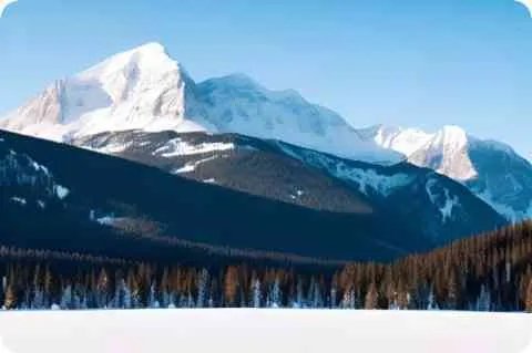 旺角卡门什么意思?