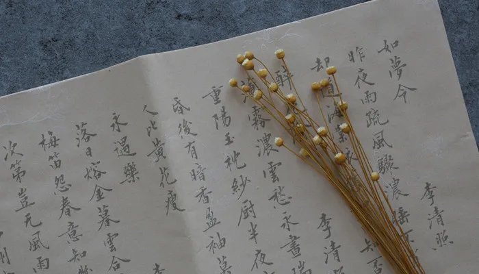 廿是什么意思 廿是什么意思怎么读