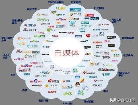 你怎样看待排球自媒体?