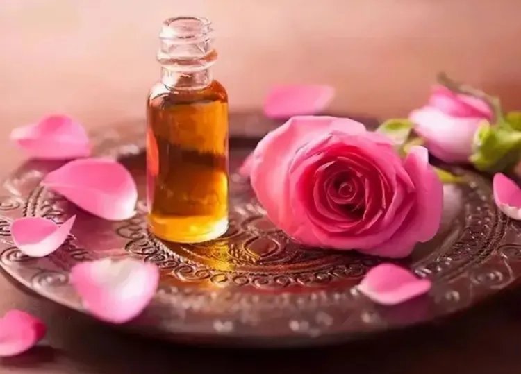 玫瑰精油的功效与作用