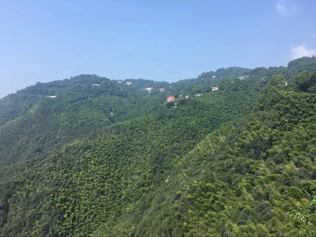 莫干山行,我们在一起!【易居空间装饰】