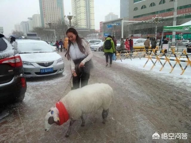 乌鲁木齐维族女人最多的地方