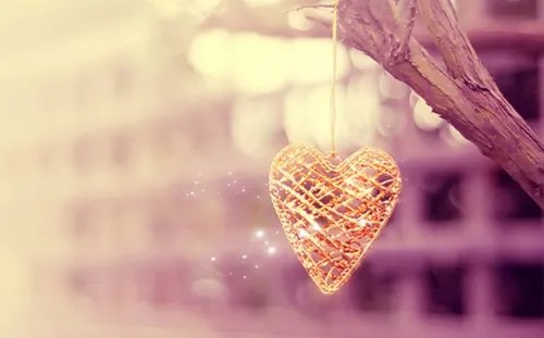 属猴男和属猪女的婚姻怎么样 猪和猴真的不能婚配吗