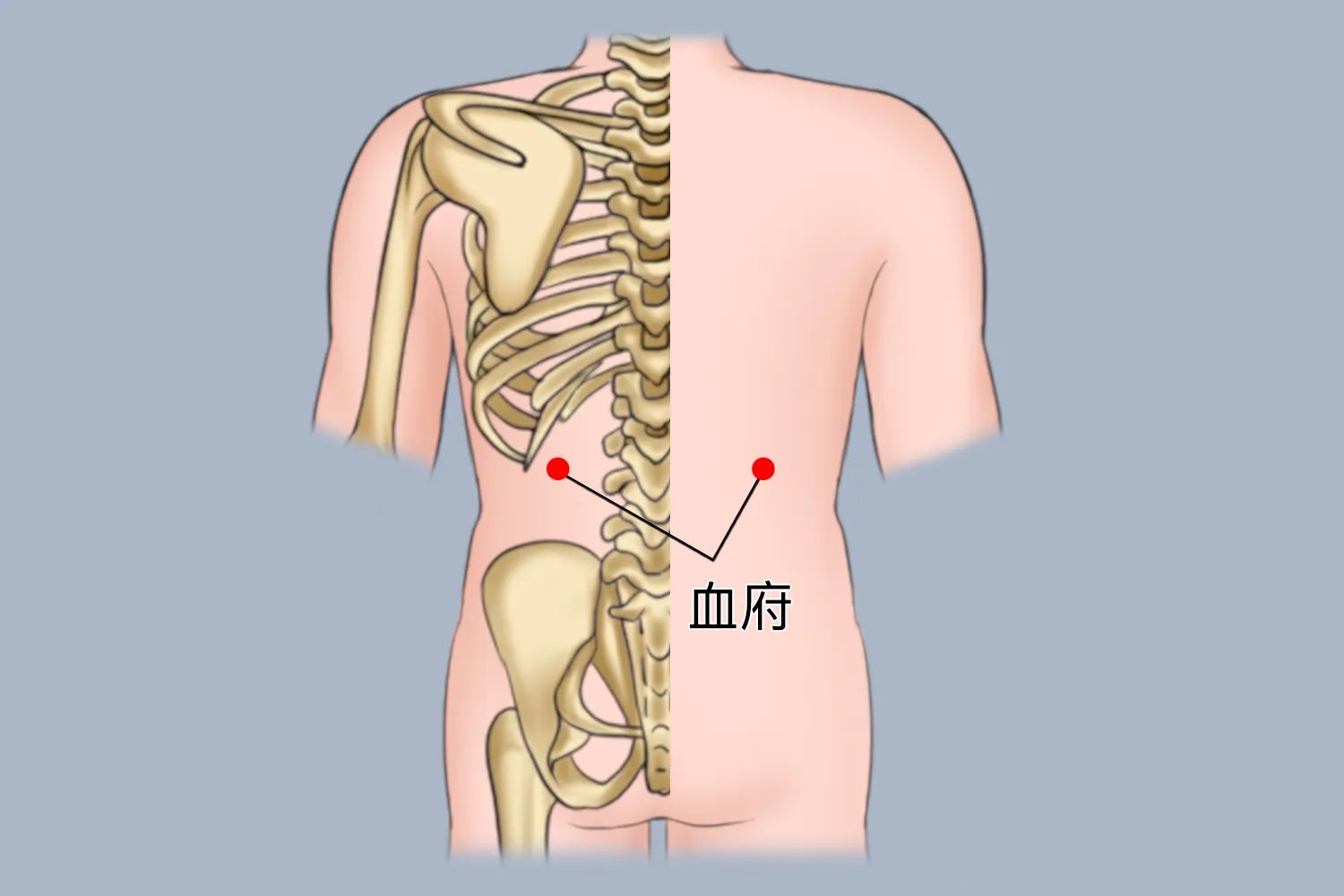 血府的准确位置图作用