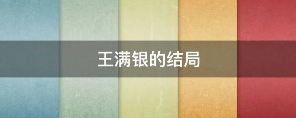 王满银的结局