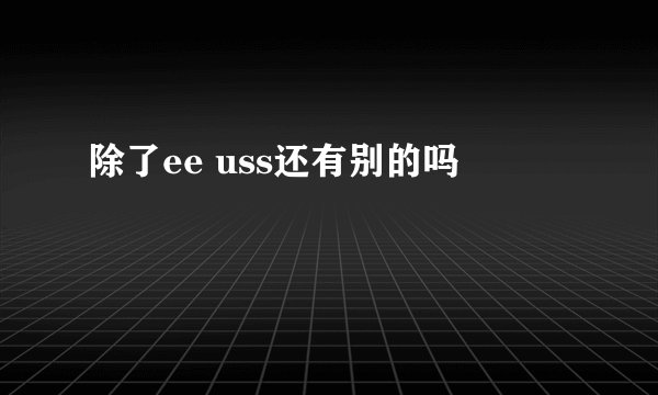 除了ee uss还有别的吗