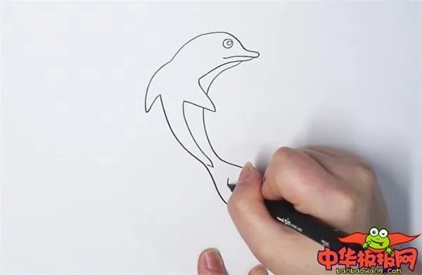 海豚是什么颜色的图片大全?