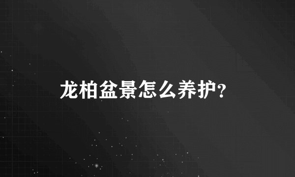 龙柏盆景怎么养护？