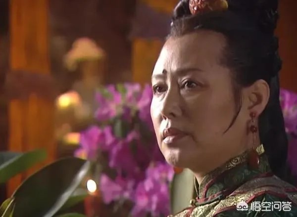 康熙王朝是一部什么样的电视剧