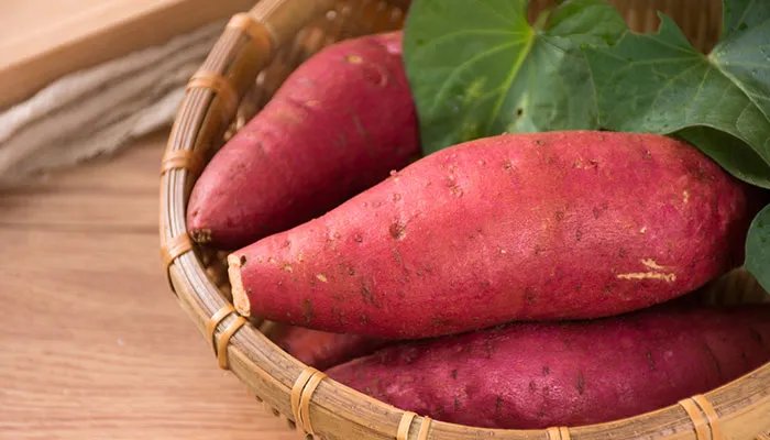 番薯是什么 什么是番薯