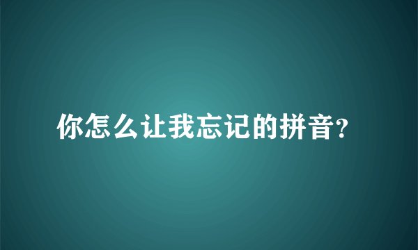 你怎么让我忘记的拼音？