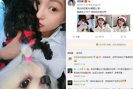 张韶涵发文疑暗讽被围观 微博晒照张嘴瞪眼发文称拼了