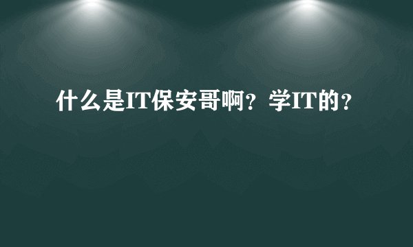 什么是IT保安哥啊？学IT的？