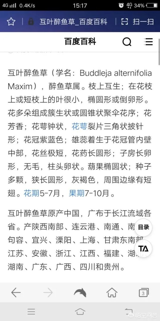 白芨种植前景如何?