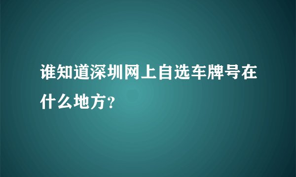 谁知道深圳网上自选车牌号在什么地方？
