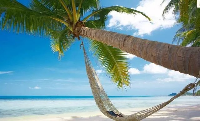 为什么三亚国际旅游岛新冠几乎没有？