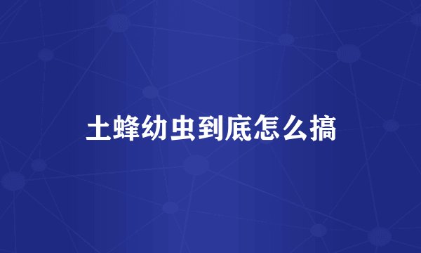 土蜂幼虫到底怎么搞