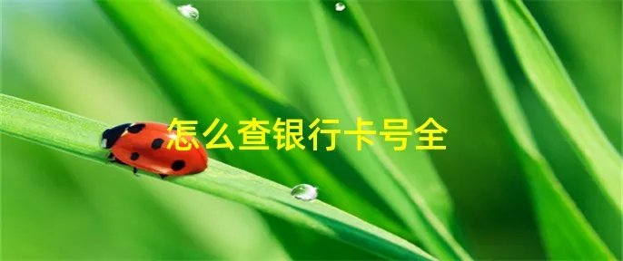 怎么查银行卡号全