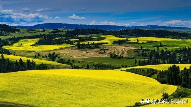 城乡规划专业就业前景怎么样？