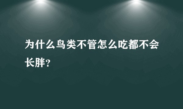 为什么鸟类不管怎么吃都不会长胖？