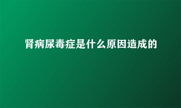 肾病尿毒症是什么原因造成的