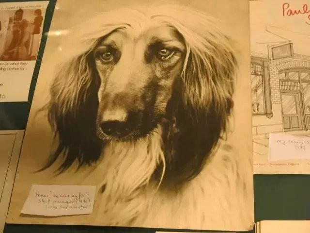 绅士外表下的叛逆,感受老顽童Paul Smith的英式幽默!