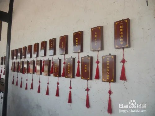 假期旅游之上海金山廊下生态园