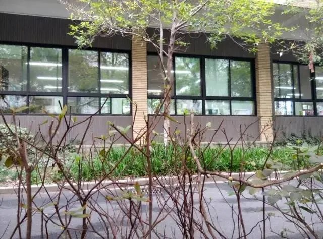 10岁小男孩从四楼跳下,醒来后对妈妈说了这7个字……值得家长深思!