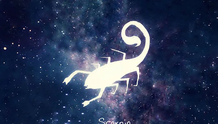 阳历11月11日是什么星座 公立11月11日是什么星座