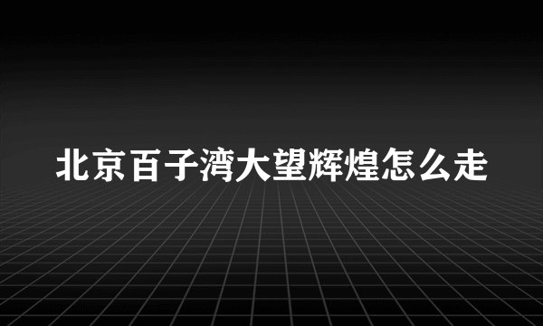 北京百子湾大望辉煌怎么走