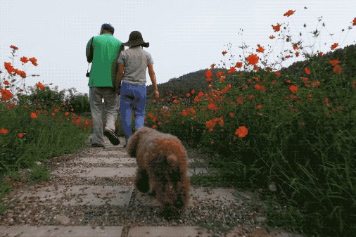 是不是每个不想结婚的人心里面都藏着一个人？