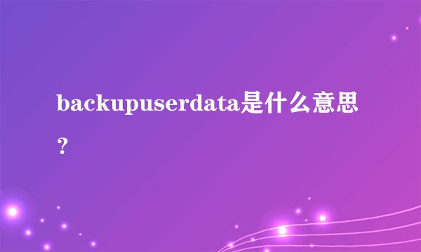 backupuserdata是什么意思？