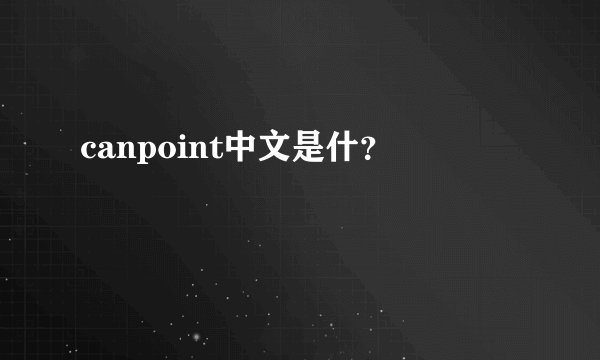 canpoint中文是什？