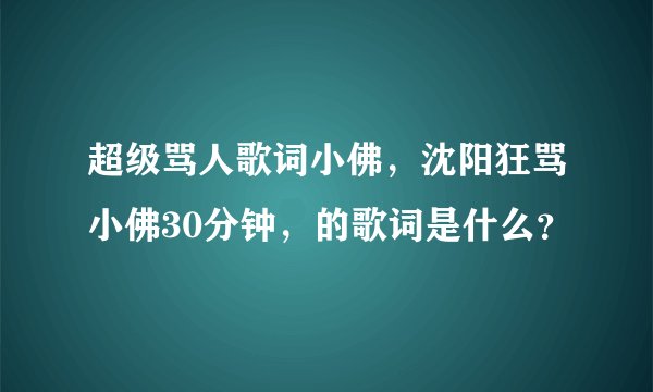 超级骂人歌词小佛，沈阳狂骂小佛30分钟，的歌词是什么？