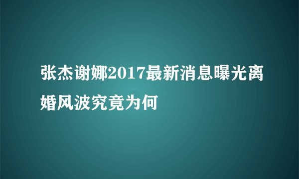 张杰谢娜2017最新消息曝光离婚风波究竟为何